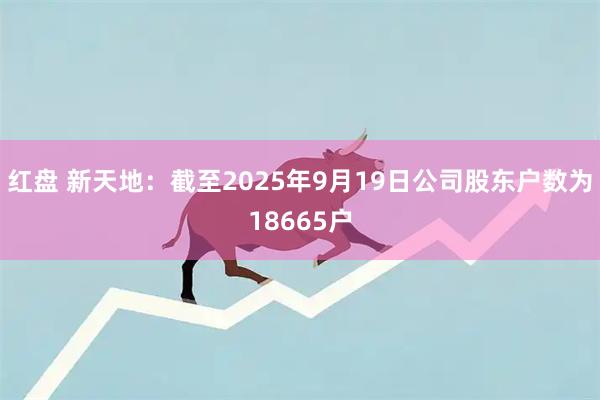 红盘 新天地：截至2025年9月19日公司股东户数为18665户