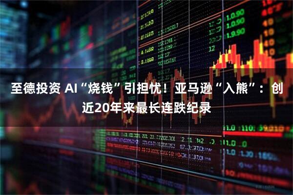 至德投资 AI“烧钱”引担忧！亚马逊“入熊”：创近20年来最长连跌纪录