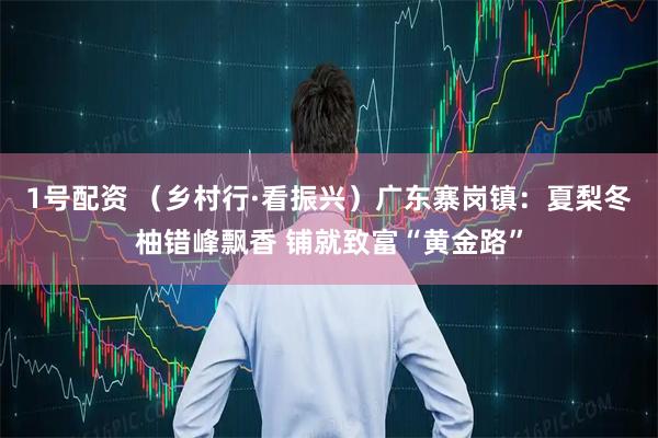 1号配资 （乡村行·看振兴）广东寨岗镇：夏梨冬柚错峰飘香 铺就致富“黄金路”