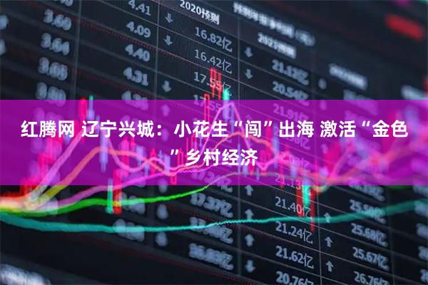 红腾网 辽宁兴城：小花生“闯”出海 激活“金色”乡村经济